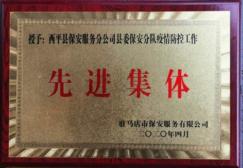 县委抗疫奖牌.jpg
