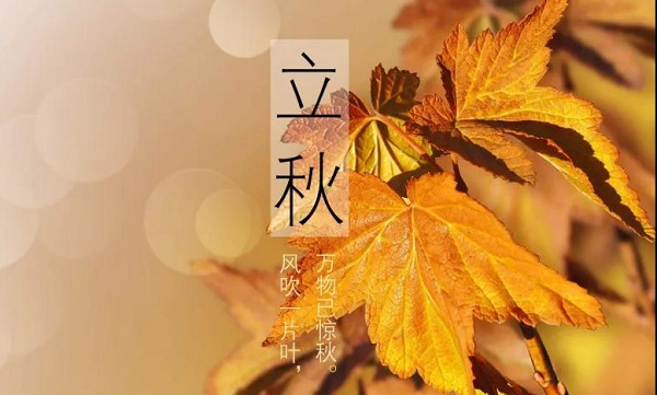 微信图片_20200807103336-1.jpg